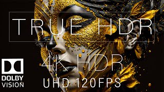 Wonderful 4K HDR 120FPS DOLBY VISION [upl. by Isyak339]