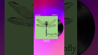 If a dragonfly spoke to you this is your song newmusicrelease dragonfly riseup shorts [upl. by Attenol]