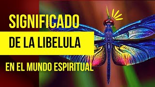 🔴SIGNIFICADO ESPIRITUAL DE LA VISITA DE UNA LIBELULA ConexionMay [upl. by Player]