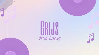 Niels Littooij Nielson  Grijs Lyrics [upl. by Dnar]