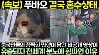 현재 중국인들의 끔찍한 만행이 담긴 푸바오 비공개 영상이 유출되자 전세계 분노에 휩싸인 이유 [upl. by Enomaj]