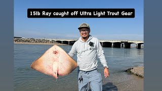 ULTRA LIGHT TROUT GEAR vs 15lb RAY caught on live 🦀 [upl. by Iain]