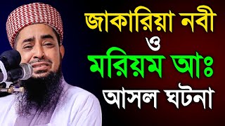 হযরত মরিয়ম আঃ ও হযরত জাকারিয়া নবী আসল ঘটনা💖eliasur rahman zihadi new waz 2022 [upl. by Llerrad]