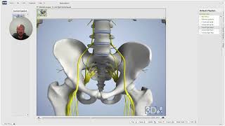 Understanding Sacroiliac Joint Sprain Strain Treatment 🦴 [upl. by Herschel]