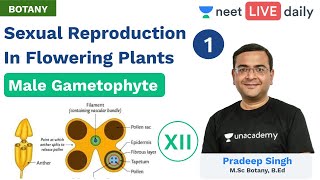 NEET Sexual Reproduction in Flowering Plants  L 1  Unacademy NEET  Class 12  Pradeep Sir [upl. by Janel994]