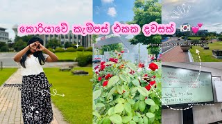 Autumn Semester එකේ ලස්සන දවසක් 💕🇰🇷  Life At KNU ❤️  රෑ වෙනකම් යාලුවෝ එක්ක පාඩම් කරමු 🤍📖 [upl. by Coveney127]