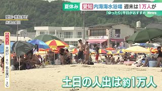 夏休みシーズン到来、東海地方の観光地でにぎわい 週末の内海海水浴場は1万人が訪れる 240722 1542 [upl. by Artair]