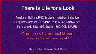 There Is Life For A Look  Hymn Lyrics amp Orchestral Music [upl. by Kries]