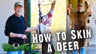 How To Easily Skin A Deer 580 [upl. by Nnairac851]