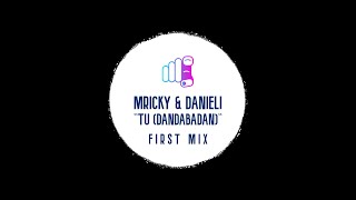 MRICKY amp DANIELI Tu Dandabadan First Mix [upl. by Orteip413]