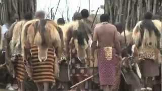 Swaziland Culture  Ncwala Ceremony [upl. by Nothgiel]