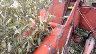 CASE PR corn picker [upl. by Lennaj]