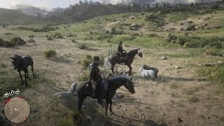 RDR2  Two Black Arabians on the mission almost stopped everything [upl. by Aznerol499]