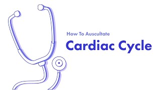 Cardiac Cycle  Learn How to Auscultate Part 2 [upl. by Eleanore]