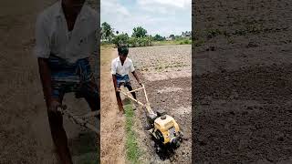 vivasayam kappom shortsfeed farmer farmerlife shorts [upl. by Lubin]