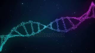 Double Helix Structure of DNA [upl. by Ursel594]