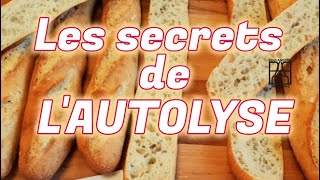 Autolyse pour le pain Mieux comprendre de la technique de lautolyse en boulangerie [upl. by Yelhsa]