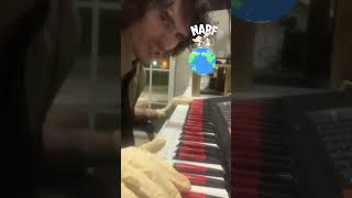 Improvised pinky and the brain piano pinkyandthebrain music improvisation [upl. by Washington294]