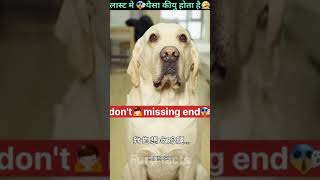 डौगी के साथ ना इंसाफ़ी हुवा😭कीयु CrazyXYZ shorts youtubeshorts viralshort [upl. by Boylston823]