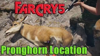 Far Cry 5 Arcade  Animal Fight Hatchling Alien Arachnid vs All Animals Battles [upl. by Namijneb]