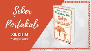 Şeker Portakalı Sesli Kitap  12 BÖLÜM  Jose Mauro de Vasconcelos [upl. by Nuahsal]