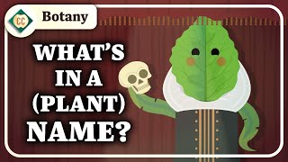 How Do We Categorize Plants Crash Course Botany 7 [upl. by Nednal]