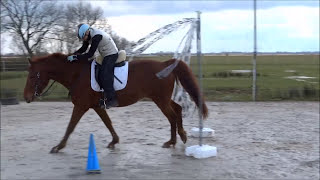 Horse Agility im Sattel Dressurarbeit mal anders Gelassenheit amp Vertrauen [upl. by Derron]