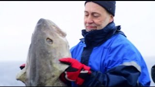 Skrei Norway’s jewel of the sea [upl. by Caldera361]