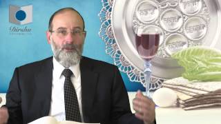 Pesach passover from a Jewish Perspective [upl. by Ymeon]