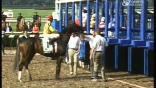 1992 Belmont Stakes  AP Indy [upl. by Giesecke]