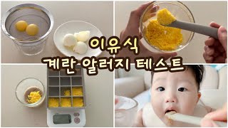 초기이유식ㅣ🥚계란알러지 테스트ㅣ계란 큐브ㅣ달걀 난각표기 읽는법ㅣ알레르기 테스트🥚 [upl. by Onaivatco]