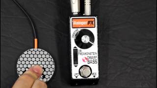 Rainger FX  Dr Freakenstein Dwarf Bass  Extreme Fuzz For Bass [upl. by Verile823]