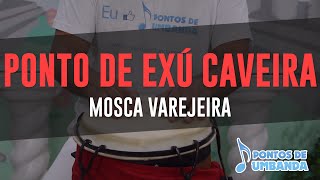 Ponto de Exú Caveira  Mosca Varejeira [upl. by Aerdnu]