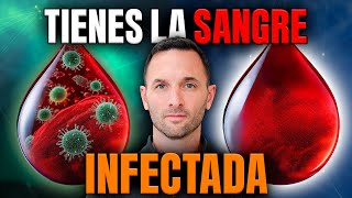 ¿Problemas Digestivos Podrían estar Contaminando tu SANGRE 🤯 [upl. by Minnaminnie873]