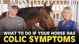 How to Recognize  Help Your Horse Colic  Essential Tips for Horse Owners  Holistic Horseworks [upl. by Aizatsana949]