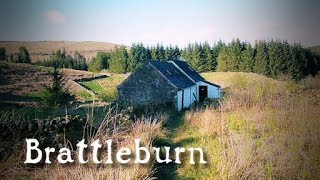 Wild Camping at Brattleburn bothy on the Southern Upland Way [upl. by Natalya]