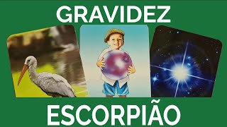 ESCORPIÃO ♏ PODE SER GRAVIDEZ [upl. by Yeldarb187]