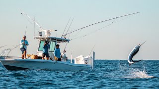 Unfathomed  Stuart SAILFISH and SNOOK [upl. by Tteltrab335]