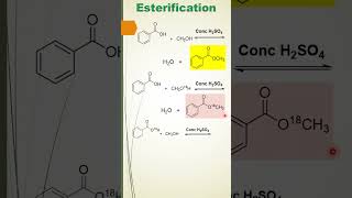 Esterification  Organic Chemistry  Oxygen18 labeling  Chemistry Tricks youtubeshorts jee [upl. by Cynthea]