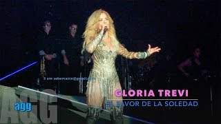 El Favor De La Soledad GLORIA TREVI Versus Alejandra Guzman Tour 2017 Laredo TX 4K [upl. by Anissa]