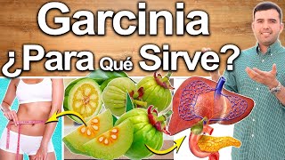 Garcinia ¿Para Qué Sirve  Beneficios De La Garcinia Para Tu Salud Y Belleza [upl. by Eikkin]