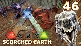 Lets Play ARK Scorched Earth 046  Wyvern Aufzucht Vom Ei bis zum Reittier [upl. by Tsugua]