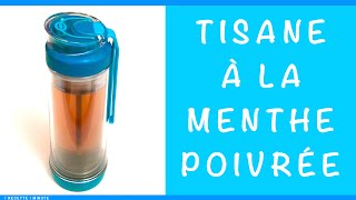 Comment Faire une Tisane à la Menthe Poivrée  Infusion Facilite la Digestion [upl. by Ramak337]