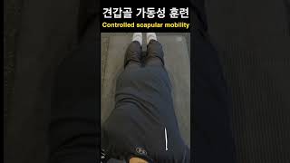 항상 뻐근한 목어깨에 기름칠 해주는 동작 scapular movement [upl. by Whitson]