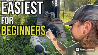 The Easiest Animal YOU Can Raise on your Homestead [upl. by Justen]