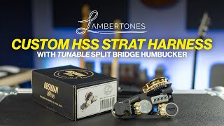 Lambertones  Obsidian Wire  HSS Solderless Harness Demo amp Review [upl. by Lewes]