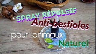 Astuce Spray naturel répulsif antitiques antibestioles Pour animaux chiens [upl. by Hamel488]