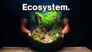 Creating a Beautiful Terrarium Ecosystem A Step By Step Guide [upl. by Casper]