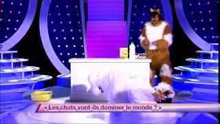 Ben amp Arnaud Tsamere 7 Les chats vontils dominer le monde  ONDAR [upl. by Hajan]