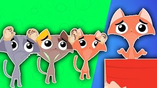 trois petits chatons  Nursery Rhymes  Song for Children  compilation [upl. by Acira]